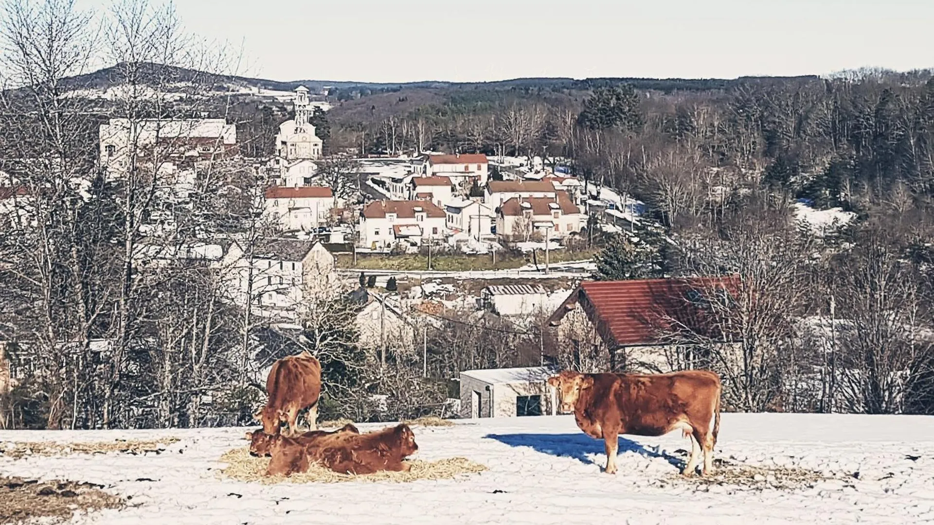 Vacances En Famille 4 Etoiles A 30Min Des Pistes De Ski Mont Dore Sancy Messeix Apartment