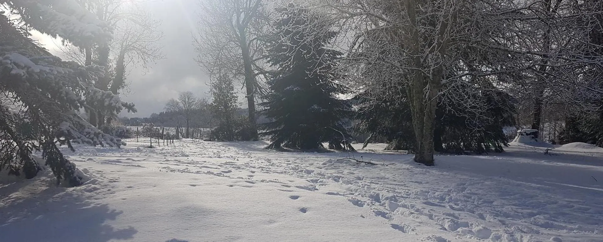 Vacances En Famille 4 Etoiles A 30Min Des Pistes De Ski Mont Dore Sancy Messeix