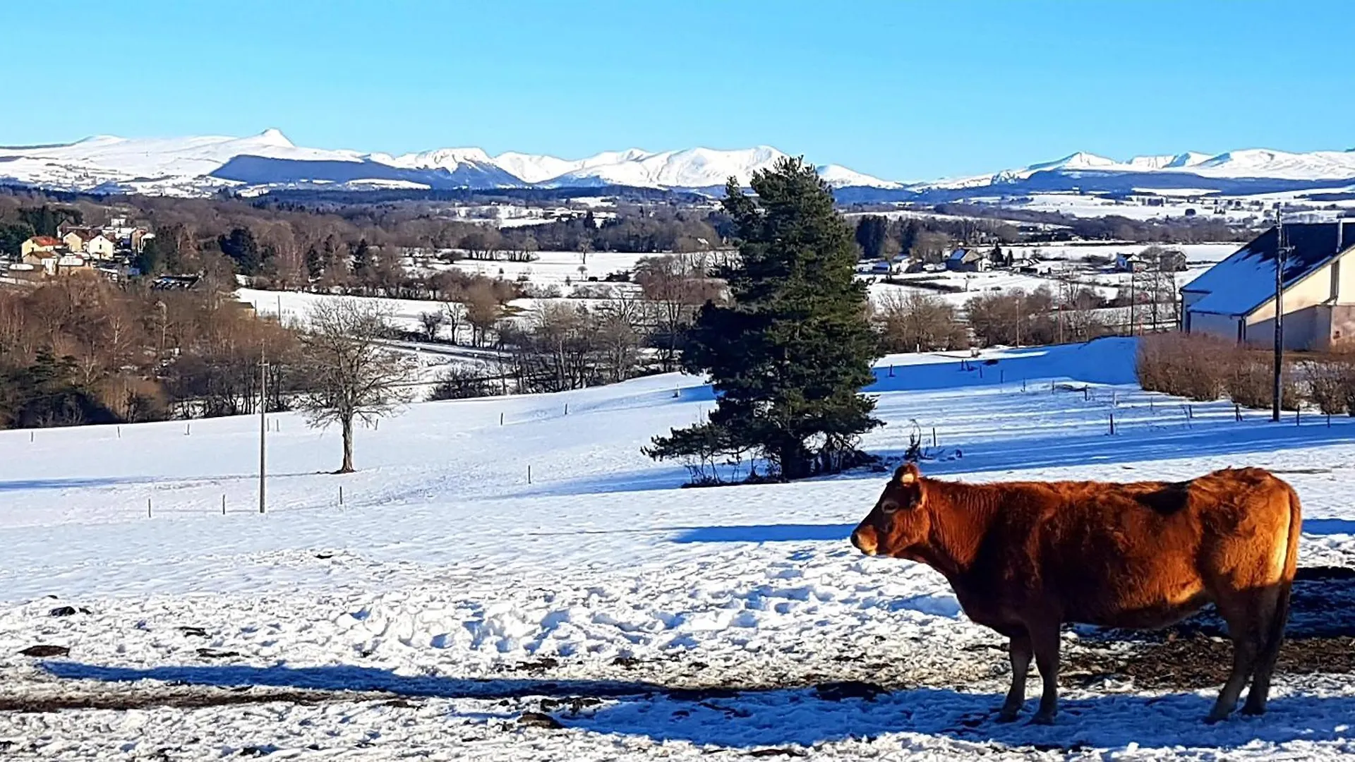 Vacances En Famille 4 Etoiles A 30Min Des Pistes De Ski Mont Dore Sancy Messeix Apartment